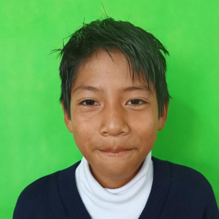 User Image